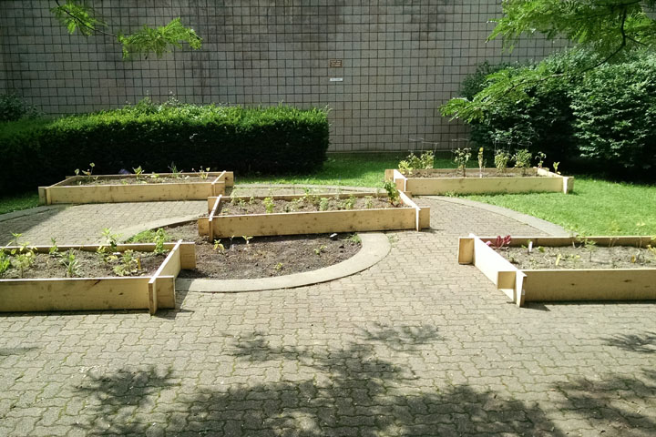 RCC Community Garden