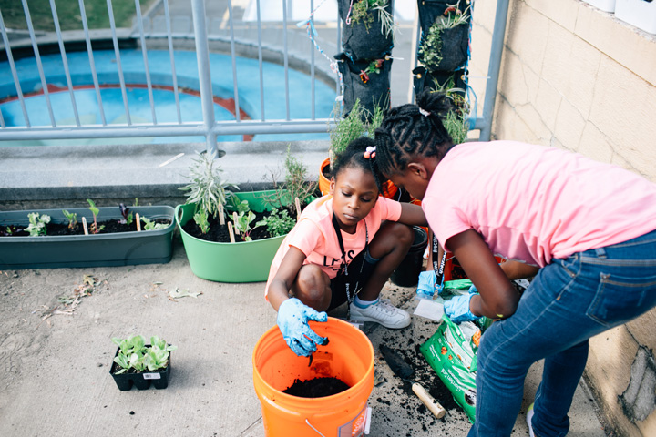 Tech Solutions for Greener Living at Phillips